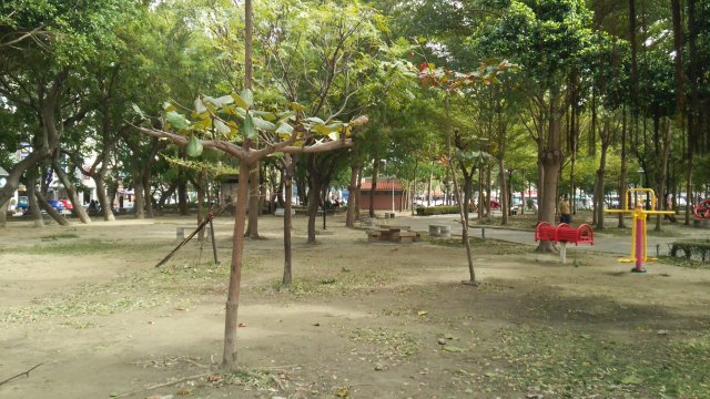 水萍塭公園内にある健康器具